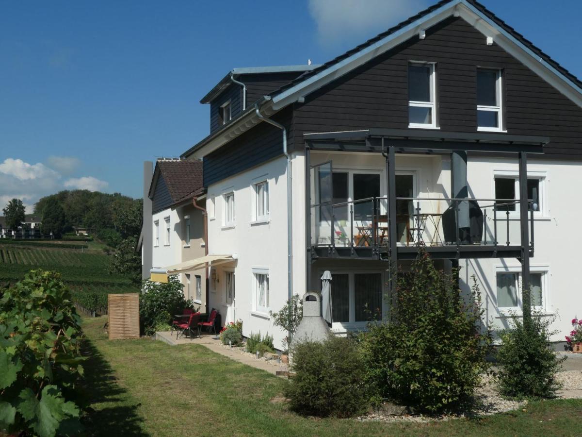 Apartment Haus Sacherer By Interhome Bischoffingen Dış mekan fotoğraf